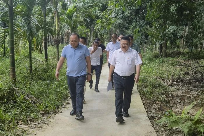 海南省定安縣人大常委會主任陳明永到海南定安項目檢查指導工作