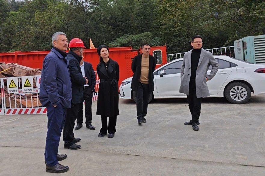 都江堰市委常委、市總工會主席羅雪梅到都江堰項(xiàng)目檢查指導(dǎo)工作