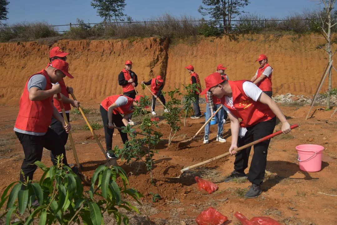 碳達(dá)峰、碳中和，從種下一棵樹開始